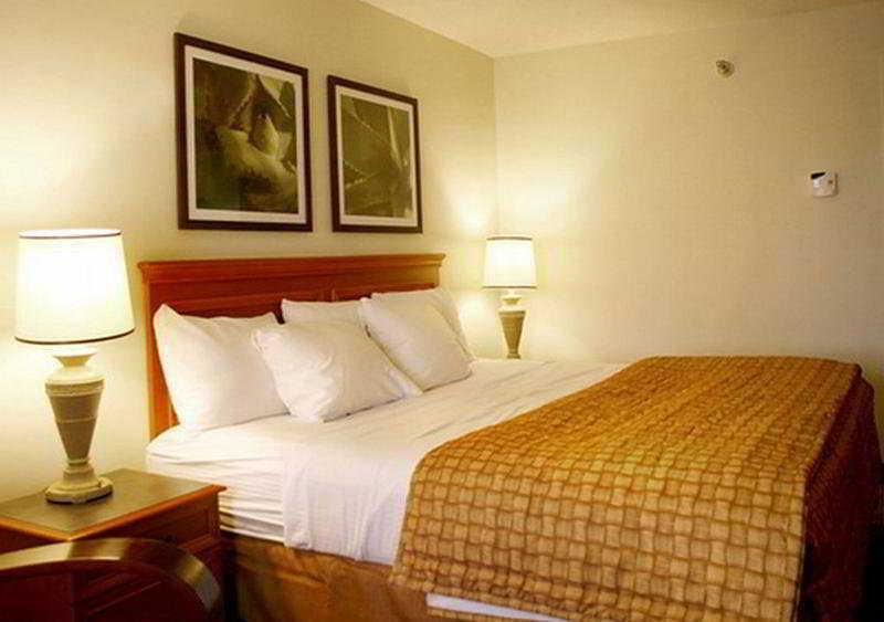La Quinta By Wyndham Baton Rouge Siegen Lane Otel Prairieville Dış mekan fotoğraf